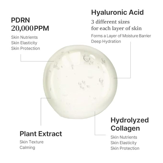 PDRN Hydrating Repair Ampoule Serum Powerful Anti Aging Face and Neck for Skin Turnover Skin Regeneration Wound Healing Korean Skincare 15ml 0.5 Fl Oz