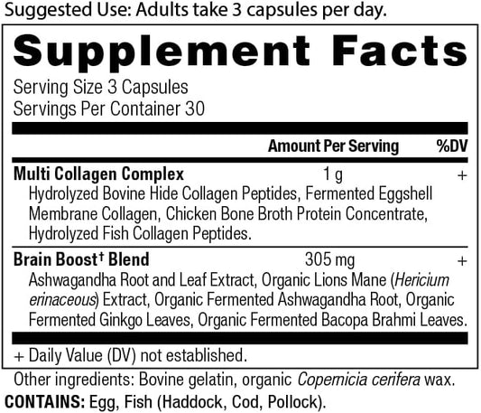 Ancient Nutrition Collagen Protein Brain Boost, Collagen Protein Capsules Brain Supplement for Reduced Joint Discomfort, Healthy Skin and Nails, 90 ct