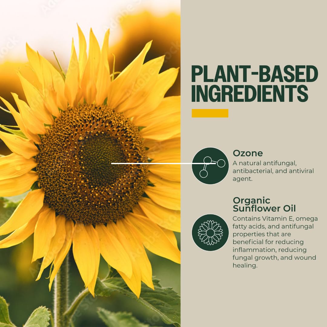 PurO3 Ozonated Sunflower Oil – Pure, Natural, Organic Skincare for Face & Body – Oxygenated Healing Lotion, Moisturizer & Beauty Cream in a Glass Jar – O3 Therapy Salve, 2 oz