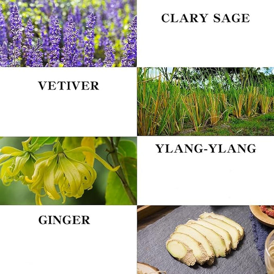 Ginger Massage Oil for Relaxing Muscles Massage Oil for Massage Body Oil for Skin Moisturizing for Men and Women 8.8 oz