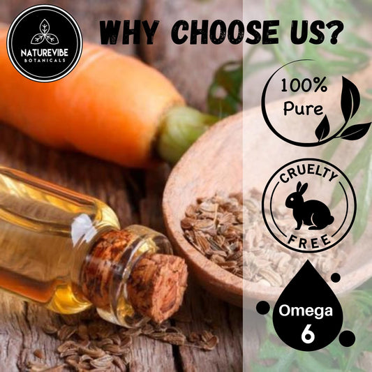 Naturevibe Botanicals Carrot Oil 32 Ounces | 100% Pure and Natural | Great for Skin Care and Hair Care