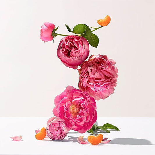 ROGER & GALLET | Body Lotion for Women | Rose 8.4 oz Bottle