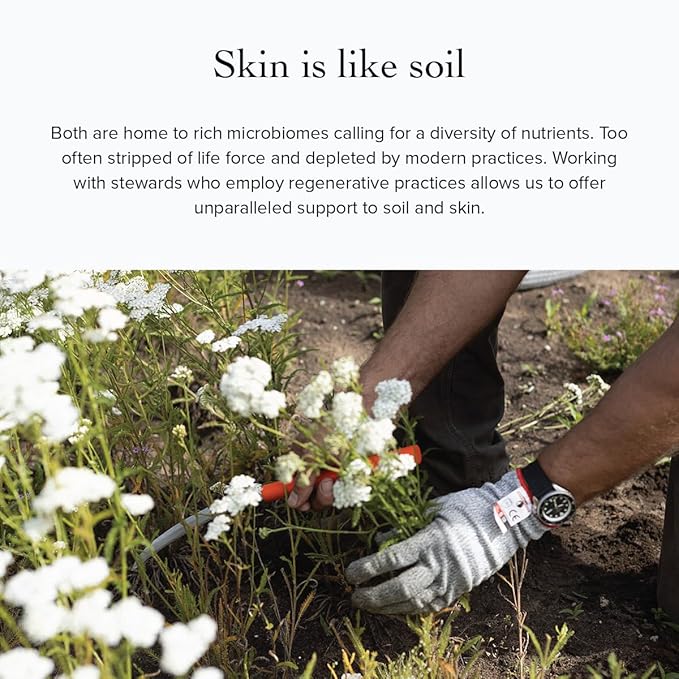 evanhealy Neroli Frankincense Body Oil | Organic Body Care with Silky Blend of Plant Oils to Soften & Moisturize All Skin | Frankincense Oil for Face