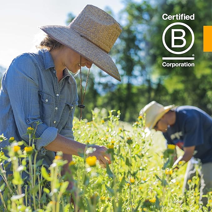 Herb Pharm Certified Organic Calendula Oil, 1 Fl Oz