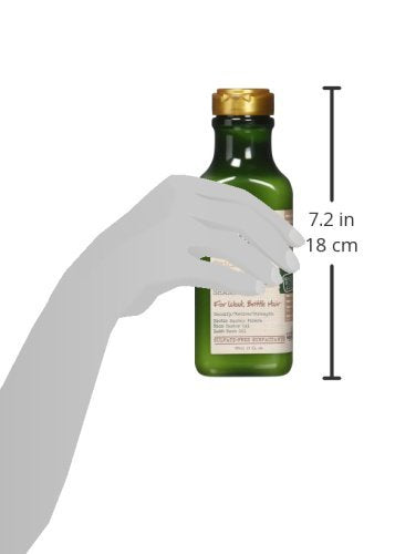 Maui Moisture Thicken & Restore + Bamboo Fibers Strengthening Shampoo to Soften Transitioning or Natural Hair & Renew Brittle Hair, Vegan, Silicone & Paraben-Free, 13 fl oz (Pack of 2)