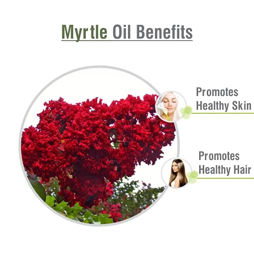 Salvia Bulk Myrtle (Myrtus communis) Oil - 250ml/8.45Fl Oz