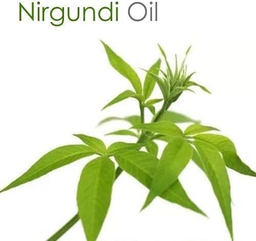 Nirgundi Oil (Vitex negundo) Therapeutic Essential Oil 100% Natural & Pure Undiluted Uncut Cold Pressed Aromatherapy Premium Oil Therapeutic Grade - 50 ML with Dropper