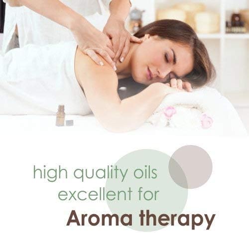 Arnica (Arnica Montana) Therapeutic Essential Oil by Salvia Amber Bottle 100% Natural Uncut Undiluted Pure Cold Pressed Undiluted Aromatherapy Premium Oil (500 ML)