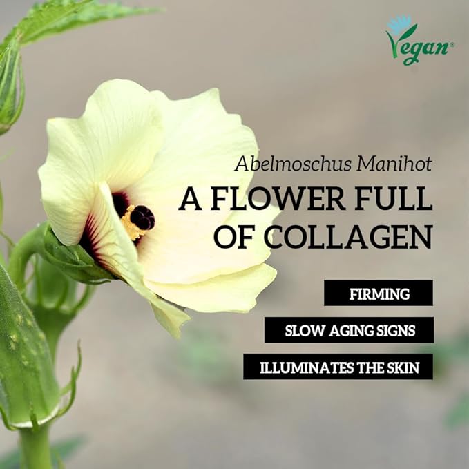 DONGSUNG Facial Mist, Face Mist with Okra Fruit Extract and Abelmoschus Manihot Flower Extract, Hydrates and Nourishes Skin, Day Care (Okra, 3.38 fl oz)