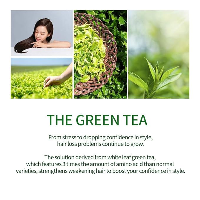 AMOS PROFESSIONAL The Green Tea Pack 8.45 oz (250ml) | Nourishing and Moisturizing Deep Conditioner for Hair Growth | Korean Hair Salon Brand