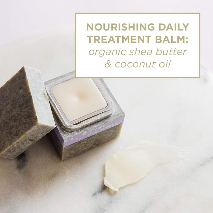 Zents Concreta Firming Repair Balm & Solid Parfum (Anjou Fragrance) | Moisturizing Shea Butter & Coconut Oil for Skin | 1.25 fl oz