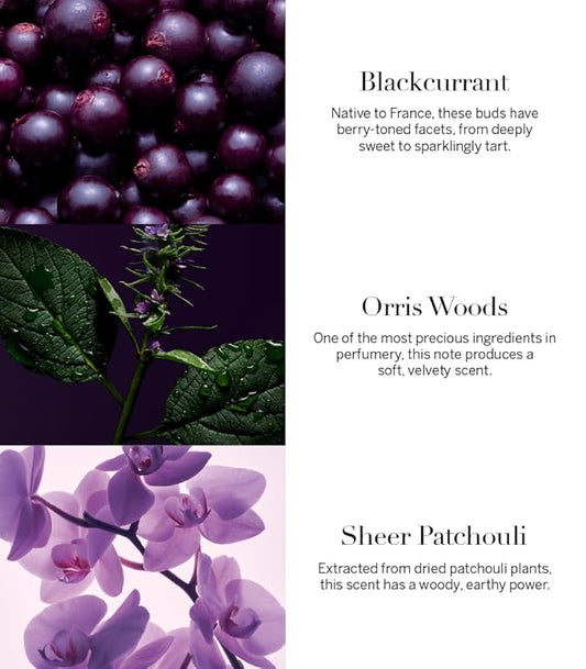 Victoria's Secret Very Sexy Orchid Fragrance Lotion, Notes of Blackcurrant, Orris Woods & Sheer Patchouli, (8.4 oz)