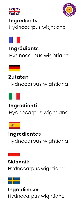 dève herbes Pure Chaulmoogra Oil (Hydnocarpus wightiana) 100% Natural Therapeutic Grade Cold Pressed 15ml (0.50 oz)