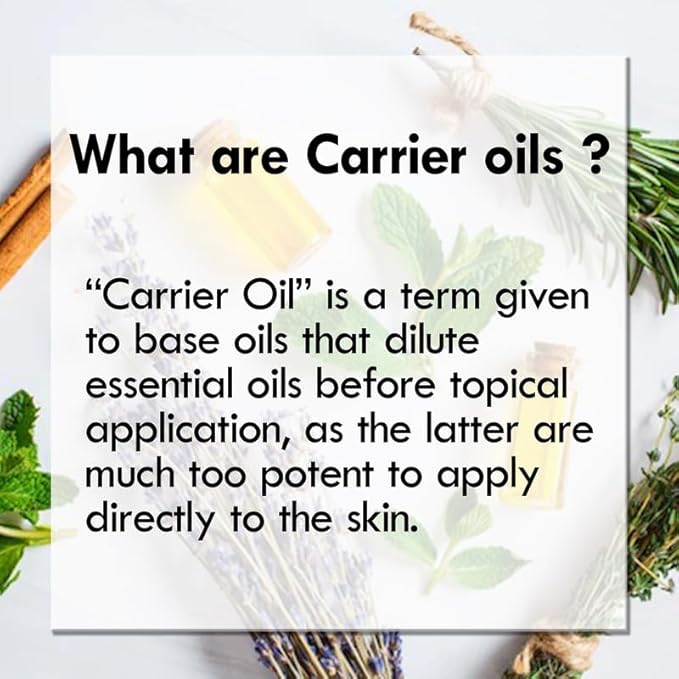 Pure Rice Bran Oil (Oryza Sativa) Cold Pressed 50ml (1.69 oz)