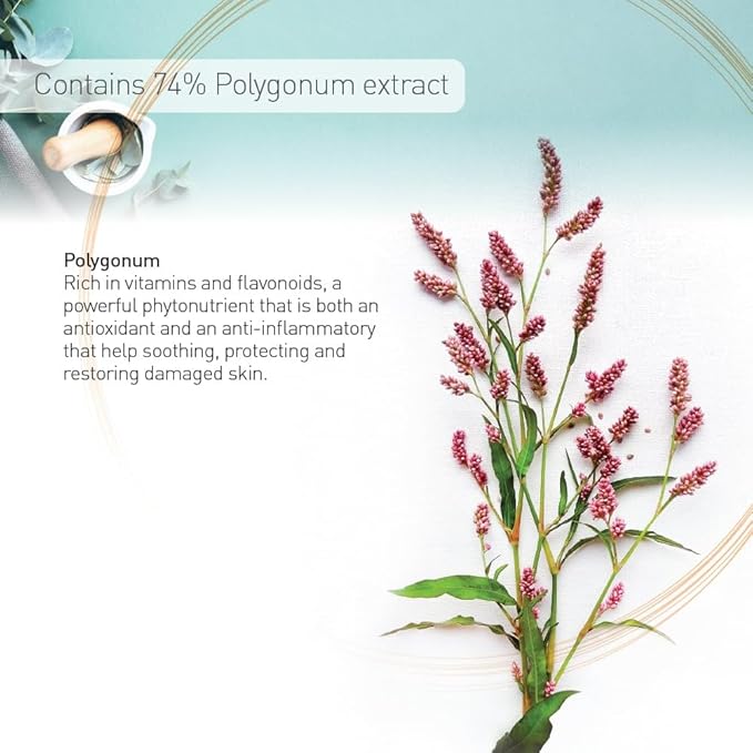 Moraz Pregnancy Body Lotion 5.1 oz | Rich in Herbal Extracts & Natural Oils