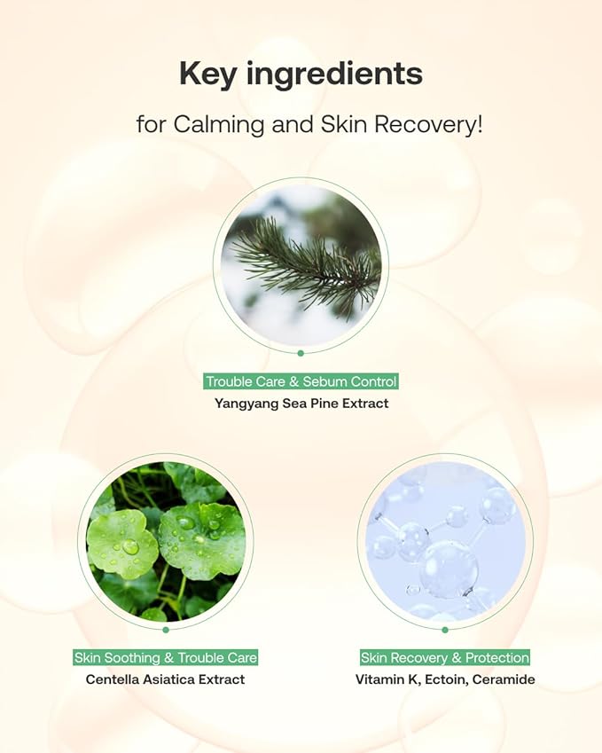 Yangyang Pine Quick Calming Spot Patch (12 Patches) | Hyaluronic Acid Soothing Deep Shot | Blemish Relief | Pimples Care | Ultra-Thin Hydrocolloid Patch | Non-Irritating Acne Treatment