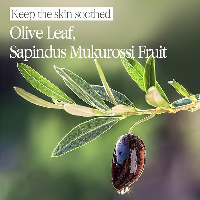 Bouquet Garni Body Shower Clean Soap Fragrance - Gentle Cleaning, Skin Care, Long-lasting Fragrance (Containing Olive Tree Leaf and Honey Extract) - 17.6 oz