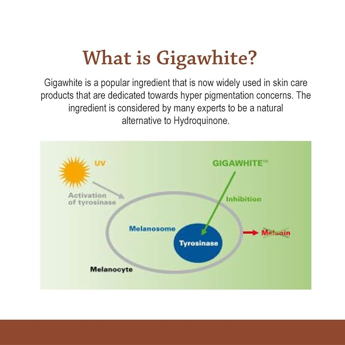 Age Spot Face Serum - Dark Spot Corrector Enriched w/Hyaluronic Acid & Gigawhite - Episilk Brightening Serum to Lighten & Tone Age Spots & Wrinkles & Fine Lines 1 Fl. oz. - Hyalogic Brand
