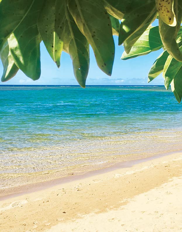 Island Soap and Candle Works Mango Coconut Guava Scented Body Lotion for Men and Women - Paraben Free Body Moisturizer - Hydrating Hawaiian Skincare - 8.5 Fl Oz. Bottle