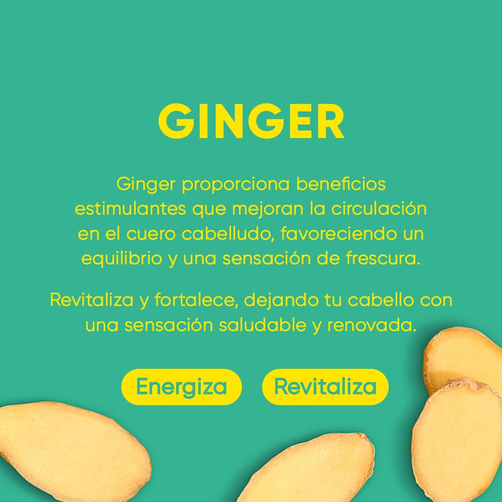 Ginger Shampoo Bar 2.0 - Hydrating & Moisturizing Natural Hair Soap Bar Shampoo for Hair Vitality & Scalp Nourishment - Bathing Soap Solid Shampoo for All Hair Types (120g, 4.23oz)