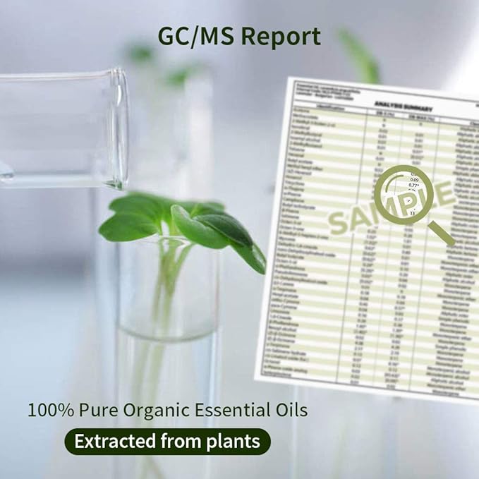 Eucalyptus Oil Lemon Essential Oil Gift Set, 100% Pure Organic Aromatherapy Oils Gift Set for Diffuser, Massage, Soap, Candle Making - 2 x 10ml