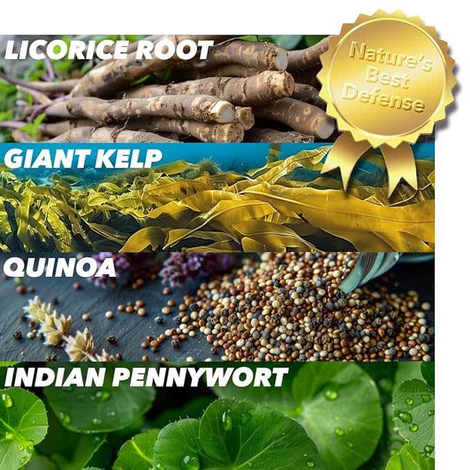 Anti-Wrinkle Under Eye Patches – Hydrating Eye Mask with Japanese Hydrophilic Gel Technology to Reduce Fine Lines, Moisturize, Cool, and Soothe – Suitable for All Skin Types (5 Pairs)