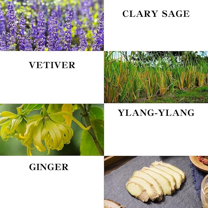 Ginger Massage Oil for Relaxing Muscles Massage Oil for Massage Body Oil for Skin Moisturizing for Men and Women 8.8 oz