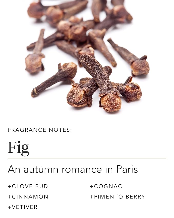 Zents Age-Defying Probiotic Body & Hand Lotion (Fig) | Moisturizing Lotion with Hyaluronic Acid & Organic Shea Butter | Nourishes & Hydrates Skin | 6.4 fl oz