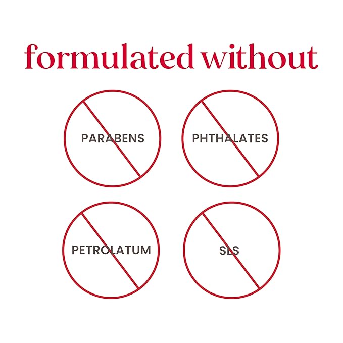 Burt's Bees Gift Ideas - Essentials Everyday Set, 5 Travel Size Products - Deep Cleansing Cream, Hand Salve, Body Lotion, Foot Cream and Original Lip Balm