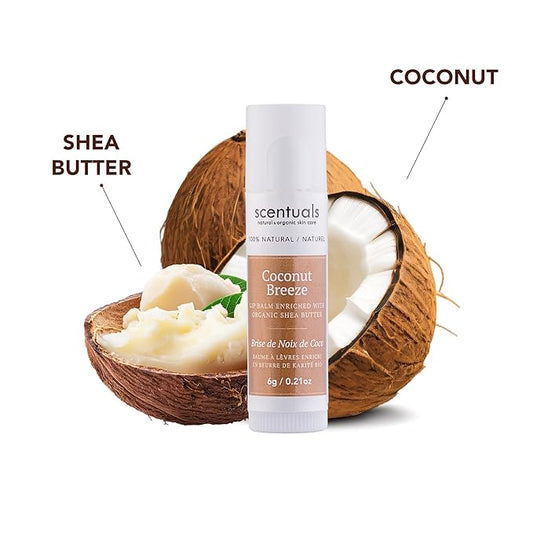 Lip Balm Set of 3, Made with Shea Butter, Cocoa Butter, Castor, Avocado & Jojoba oil, Beeswax, Vitamin E and Essential oil, Moisturizing Lip Care, Cruelty Free Hydration, 100% Natural (3 Pack)