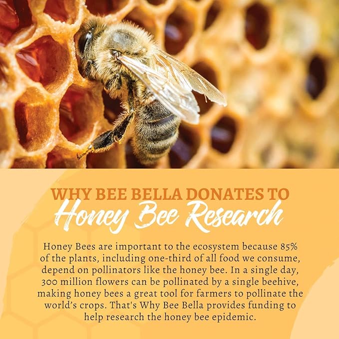 Bee Bella Lip Balm, Peppermint, 3 Pack - Hydrating Lip Care, 100% Natural, Original Organic Beeswax with Vitamin E, Handmade in USA, Easter Basket Gift