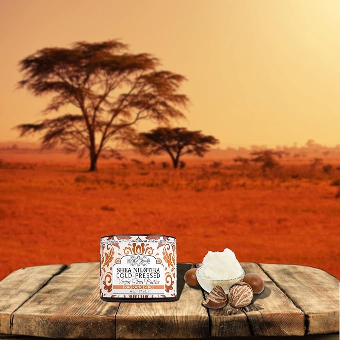 Shea Terra Organics 100% Organic Cold-Pressed Virgin Shea Butter – Fragrance-Free | Natural Anti-Aging Daily Skin, Nails & Hair Cream to Soften Dry Skin, Reduce Wrinkles & Stretch Marks – 6 oz