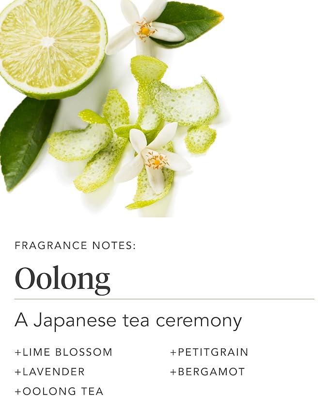 Zents Age-Defying Probiotic Body & Hand Lotion (Oolong) | Moisturizing Lotion with Hyaluronic Acid & Organic Shea Butter | Nourishes & Hydrates Skin | 6.4 fl oz