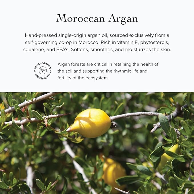 evanhealy Sanctuary Nectar Serum | Organic Essential Oil Free Facial Serum for Sensitive Skin | Topical Multi-Omega for Skin