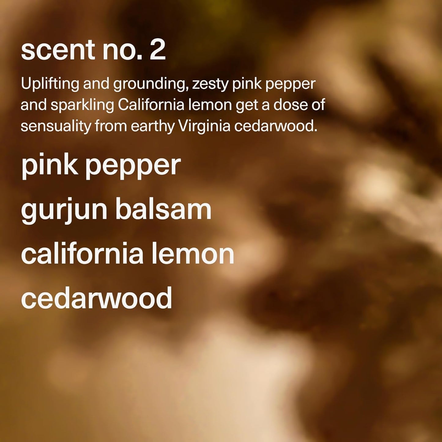 Maude Soak No. 2 - Nourishing Mineral Bath Salts - Hand-Harvested Dead Sea Salt with Magnesium & Potassium Chloride - Soften & Rejuvenate Skin - Notes of Pink Pepper & Lemon (8 oz)