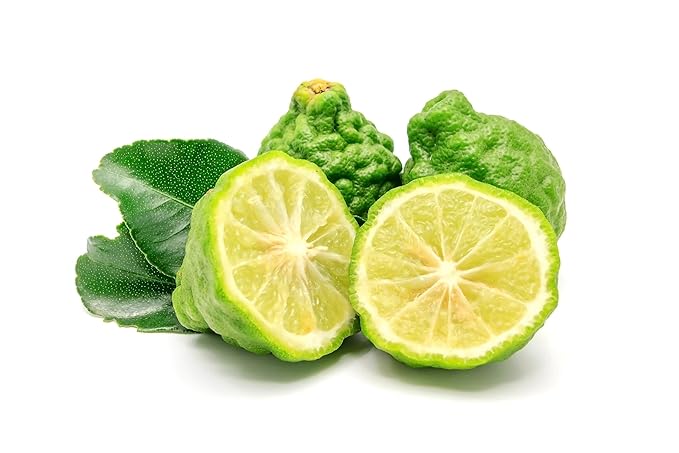 US Organic 100% Pure Bergamot Essential Oil, USDA Certified Organic, Cold Pressed, with Euro droppers (More Size Variations Available) (15 ml / .5 fl oz)