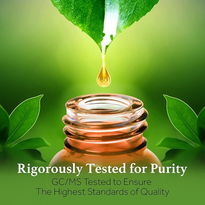 Botanicals - Wintergreen Oil - 15 ml