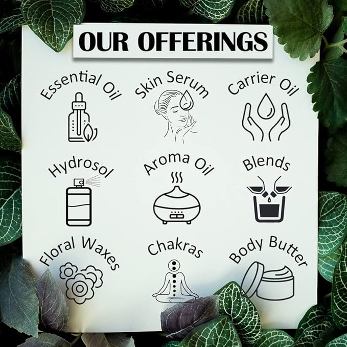 Deve Herbes Pure Meadowfoam Seed Oil (Limnanthes alba) Cold Pressed 15ml (0.50 oz)