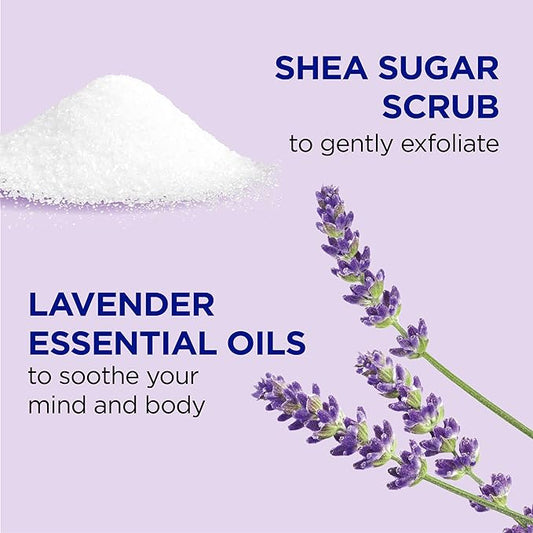 Dr Teal's Shea Sugar Scrub, Lavender Essential Oils, 19 oz (Pack of 3)