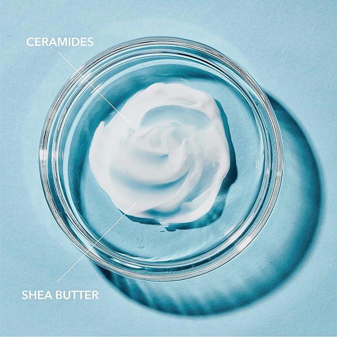 Curel Daily Healing Moisture Body Lotion, Original Formula - 13 Fl Oz (Pack of 2)