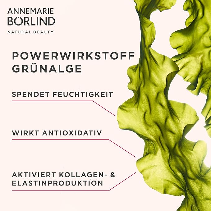 ANNEMARIE BÖRLIND - SYSTEM ABSOLUTE Regenerating Night Cream - Anti Wrinkle Moisturizer with Retinol, Aloe, Algae and Meadowfoam Extracts - Nourishes, Tones, and Hydrates - 1.69 Fl. Oz