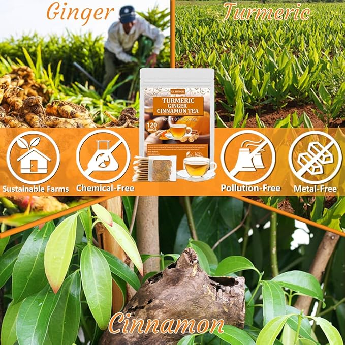 120 Premium Turmeric, Ginger, Cinnamon Blend Tea Bags, 100% Natural & No Additives & Caffeine Free.