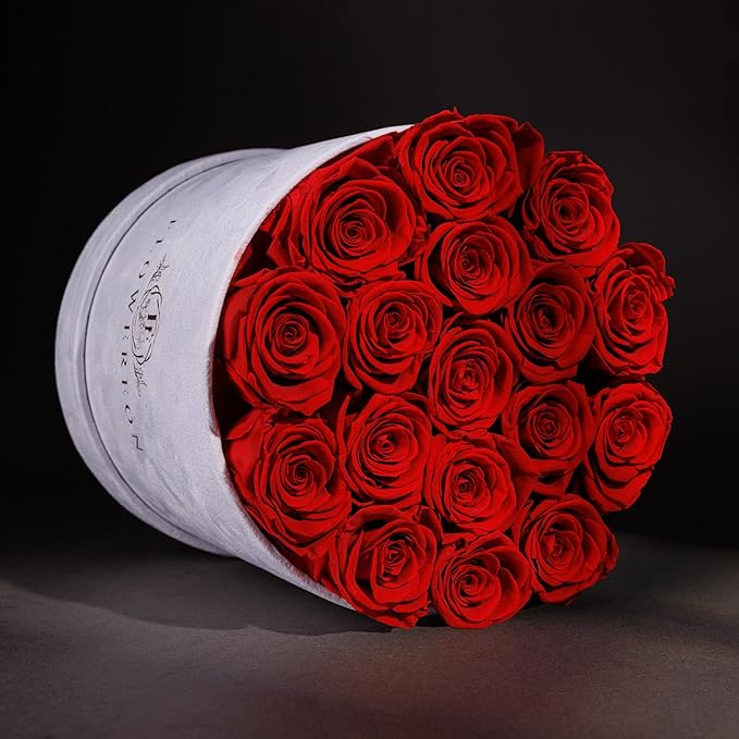17 Flowers in a Luxury Suede Box, Birthday Gifts for Women, Preserved Flowers, Mothers Day Roses Gift for Mom, Red