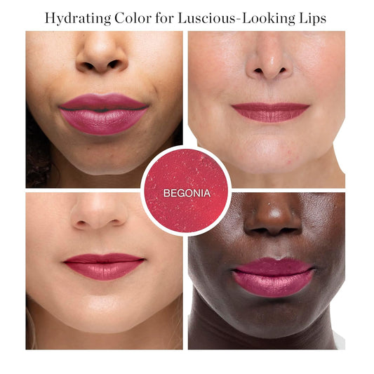 Ogee Tinted Sculpted Lip Oil - Lip Stain Made with 100% Organic Coconut Oil, Jojoba Oil, and Vitamin E - Best as Lip Balm, Lip Color or Lip Treatment - BEGONIA