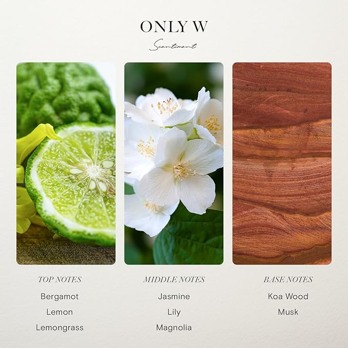 Amalfi Coast Hotel Diffuser Oil | Formerly Known as Only W | Aromatherapy Fragrance Inspired by 5-Star Hotels | Notes of Bergamot, Lemongrass, Jasmine, Lily, Magnolia & Koa Wood (20 mL)