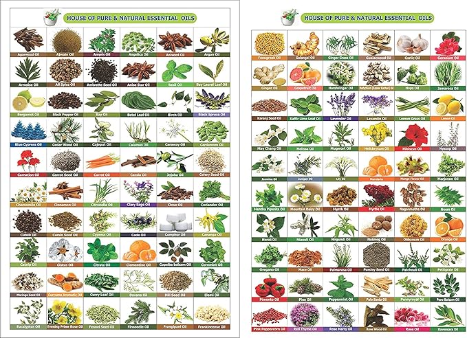 Nirgundi Oil (Vitex negundo) Therapeutic Essential Oil 100% Natural & Pure Undiluted Uncut Cold Pressed Aromatherapy Premium Oil Therapeutic Grade - 50 ML with Dropper