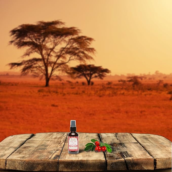 Shea Terra Rubignosa Rose Hips Cold-Pressed Extra Virgin Oil |All Natural & Organic Oil Rich in Antioxidants and Fatty Acids for Skin Repair & Rejuvenation– 2 oz