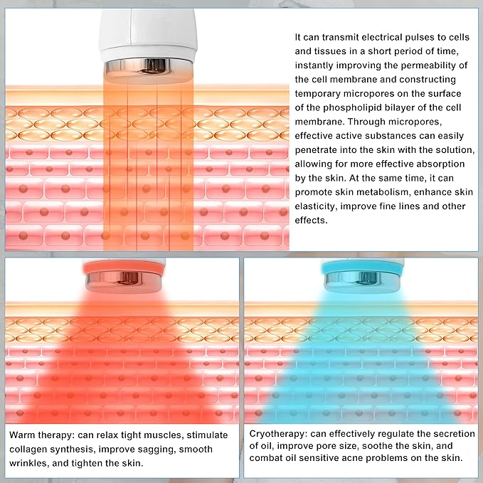 Eltizia Electroporation Machine Skin Care Tool Solution Importer Skin Management Hot And Cold Promotes Absorption ETLB365