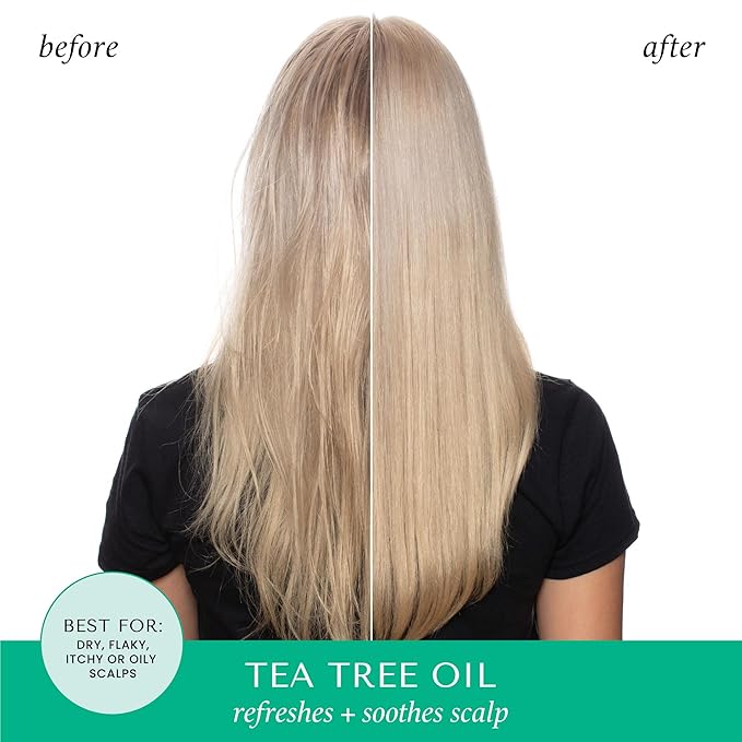 HASK TEA TREE OIL & ROSEMARY Scalp Relief Serum for All Hair Types, Color Safe, Gluten-Free, Sulfate-Free, Paraben-Free, Cruelty-Free - Pack of 2