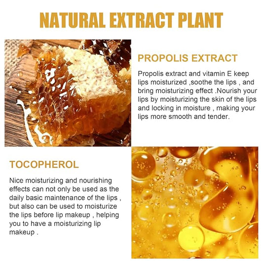 Lip Balm Honey Pot Propolis Lip Mask, Strawberry Honey Lip Sleep Mask Moisturizing Prevention Dry and Cracked Lip Scrubs Exfoliator, Reduces Lip Lines (2packs strawberry+2packs honey)